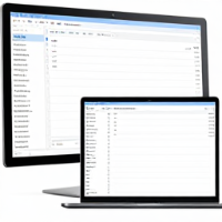 Software Asset Management och IT-Administration
